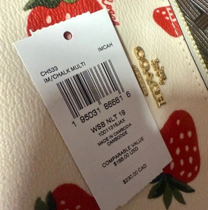 Coach Nolita 19 with wild strawberry print ch533